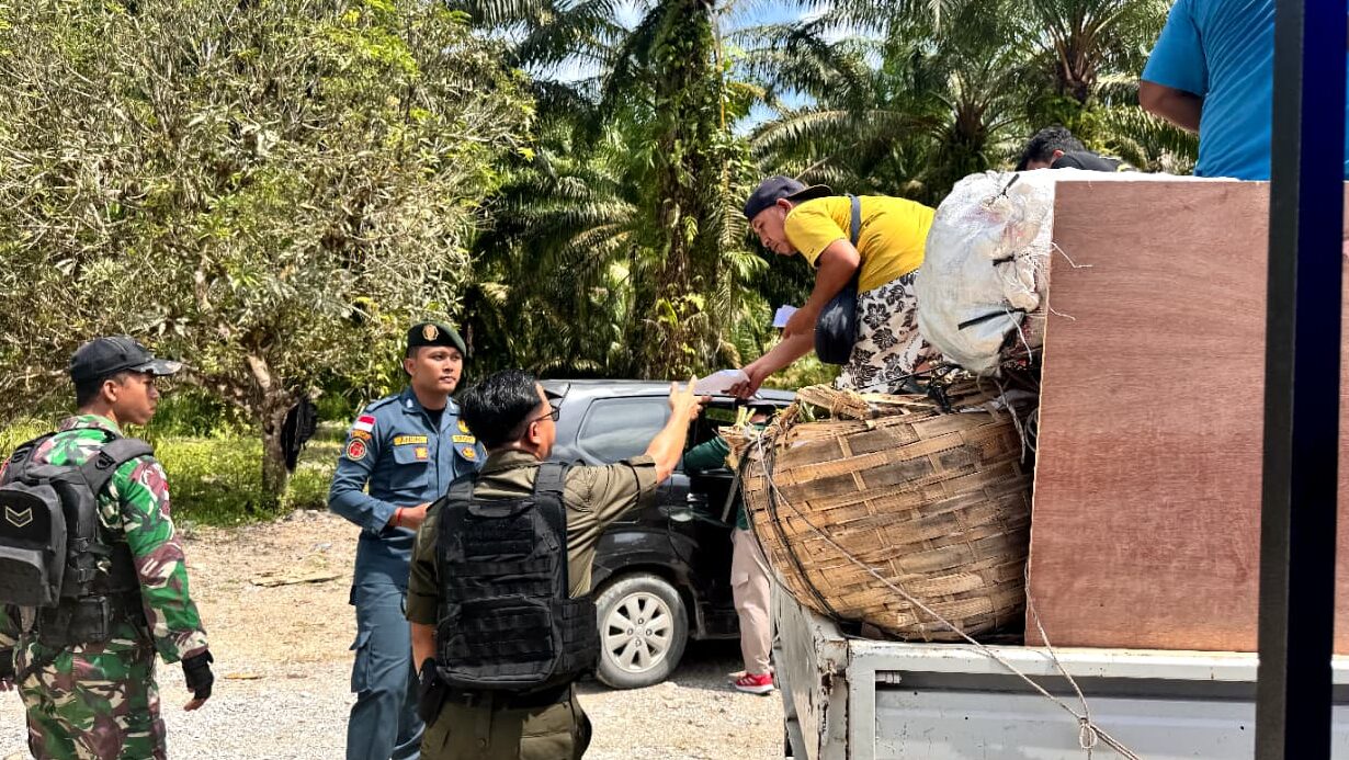 Tim Gabungan RI-Malaysia Gagalkan Penyelundupan Ratusan Tanduk Rusa di Perbatasan Jagoi Babang