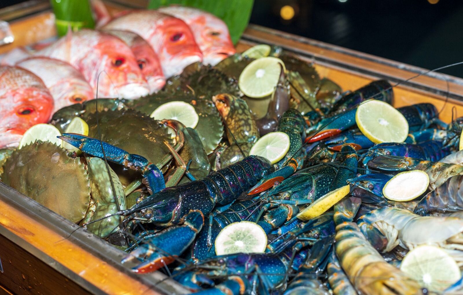 Sensasi All You Can Eat Seafood! Mercure Pontianak Luncurkan Buffet Dinner Terbaru “Taste of the Sea”
