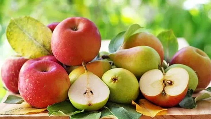 Lapar di Jam Tanggung? Ini 5 Cemilan Penahan Lapar yang Bikin Kenyang Lebih Lama