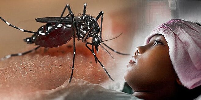 Waspada DBD Singkawang, BPBD Ingatkan Potensi Hujan hingga Awal Desember