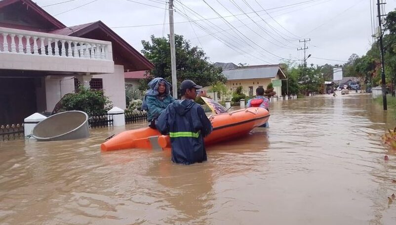 Musim Hujan Tiba, Waspada 'Teror' Leptospirosis: Kenali Gejala Khas Nyeri Betis hingga Mata Merah