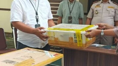 Penyelundupan Satwa di Pontianak: Ratusan Burung Ditemukan Mati dalam Boks