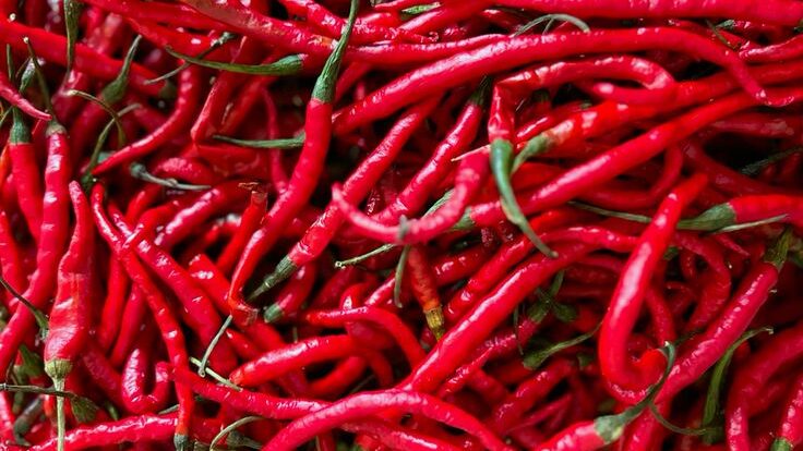 Pemprov DKI Jual Cabai Asal Aceh Rp 40 Ribu per Kg