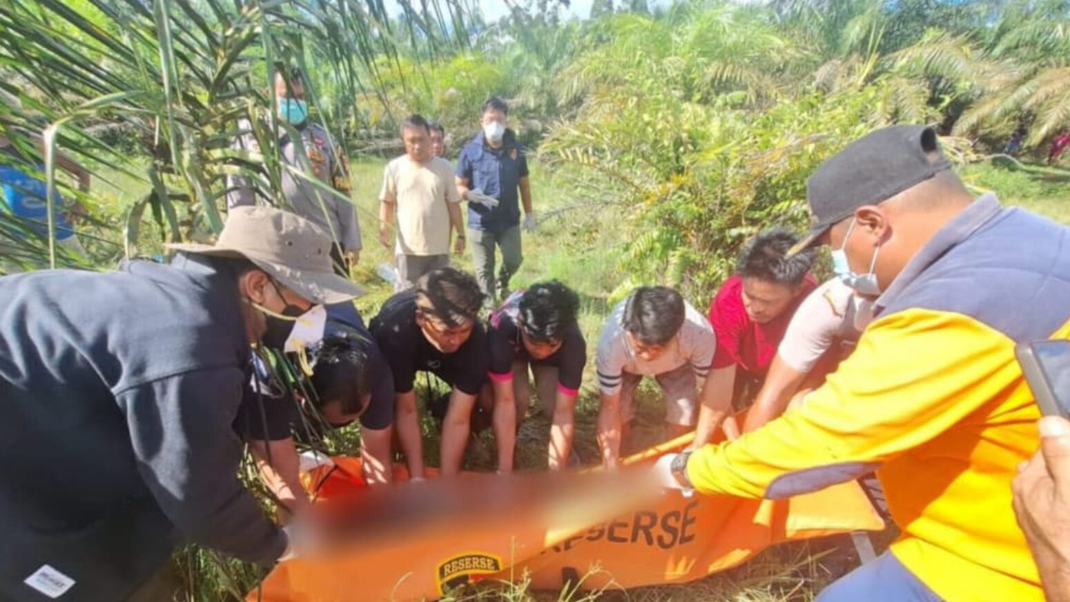 Sempat Hilang 4 Hari, Lansia di Sekadau Ditemukan Tak Bernyawa di Kebun Sawit: Polisi Pastikan Murni Musibah