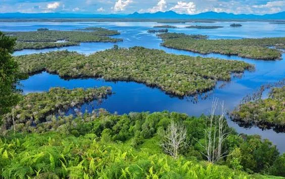 7 Destinasi Wisata Hidden Gem di Kalimantan Barat yang Layak Dikunjungi