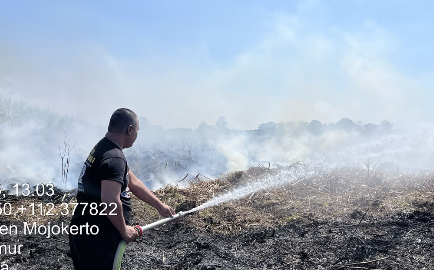 Puluhan Hektare Hangus Kasus Kebakaran Lahan Landa Tiga Wilayah Berbeda