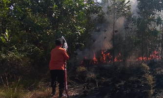 Puluhan Hektare Lahan Hangus, Bencana Kebakaran Hutan dan Lahan Meluas