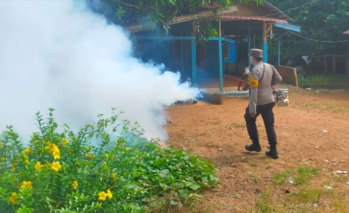 Cegah Penyebaran DBD di Tayan Hilir, Warga Diimbau Tak Hanya Andalkan Fogging