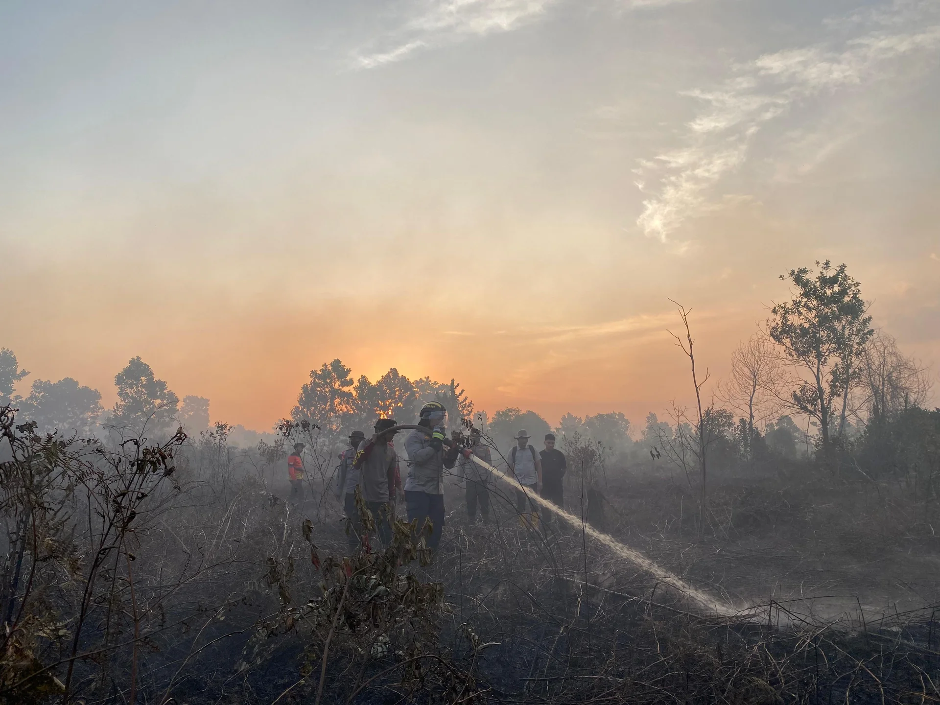 Musim Kemarau Pemicu Karhutla, Belasan Hektare Lahan di Sragen dan Minahasa Hangus Terbakar