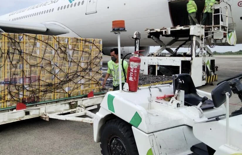 Pemerintah Bebaskan Bea Masuk Impor Suku Cadang Pesawat dan LPG