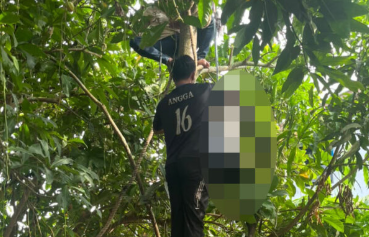 Sempat Dilaporkan Hilang, Warga Mempawah Ditemukan Tewas Tergantung