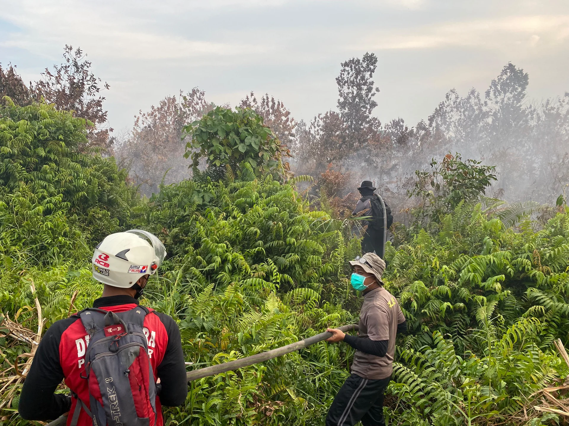 BPBD Kalbar Kerahkan Satgas Udara dan Darat Atasi Kebakaran Hutan dan Lahan