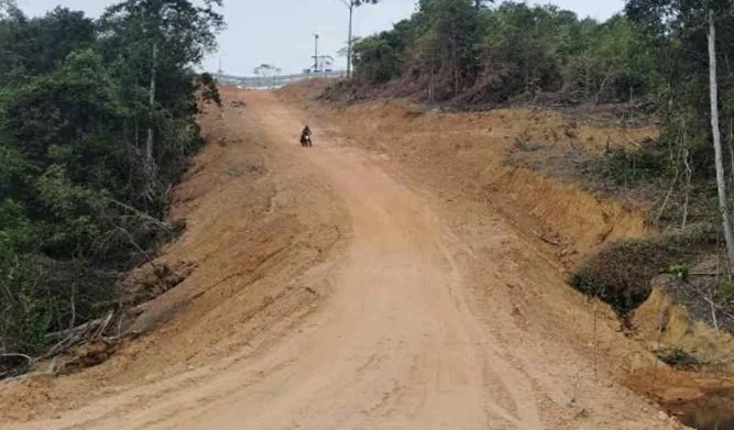 Kementerian Kehutanan Tetapkan Perusahaan di Kepri Jadi Tersangka Dugaan Perambahan Hutan Lindung