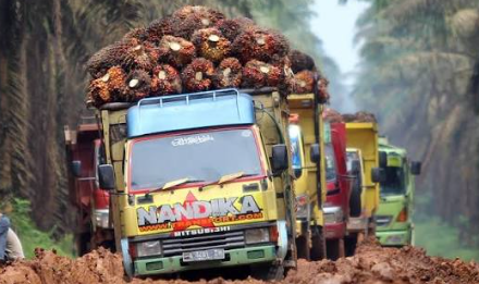 Maksimalkan Pajak Daerah, Kendaraan Operasional Perusahaan di Sanggau Wajib Ganti Pelat Lokal