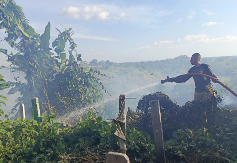 Hutan Lindung hingga TPU Covid Terbakar, Kebakaran Lahan Marak di Sejumlah Daerah