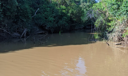Air Sungai Belitang Tercemar Diduga Akibat PETI, Warga Sekadau Desak Polsek Balai Sepuak Bertindak