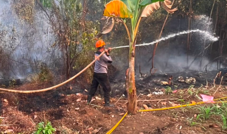 Terkendala Pasokan Air, Penanganan Karhutla di Tikungan S Tayan Hilir Masuki Hari Kelima