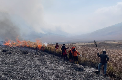 Kebakaran Hutan di Bromo Hanguskan 60 Hektare Lahan, Akses Wisata Malang-Lumajang Ditutup