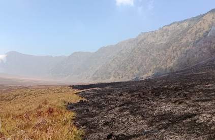 Medan Terjal Sulit Ditembus, BNPB Kerahkan Helikopter Water Bombing ke Gunung Bromo