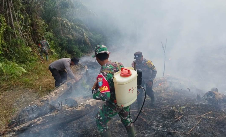 Marak Pembukaan Lahan di Sanggau, Peladang Diingatkan Regulasi Pembakaran Terbatas