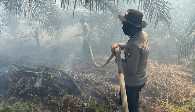 Berlangsung 13 Jam, Pemadaman Kebakaran Lahan di Toba Sanggau Hanguskan 7 Hektare Lahan Gambut dan Sawit