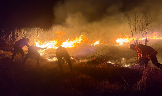 Kebakaran Hutan di Gunung Bromo Hanguskan 176 Hektare, Dua Helikopter Water Bombing Diterjunkan
