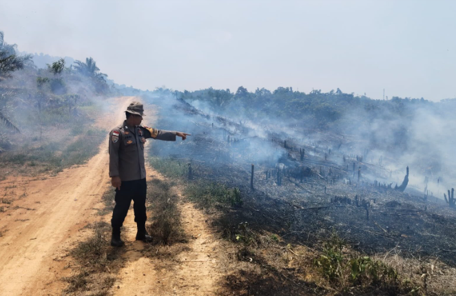 8 Hotspot di Entikong Terdeteksi dari Aktivitas Pembukaan Lahan Pertanian