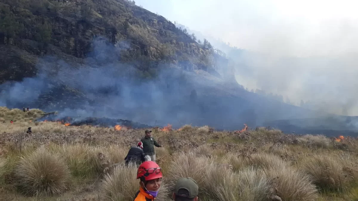 Pemadaman Kebakaran Bromo Terhambat Cuaca, BNPB Beri Penjelasan