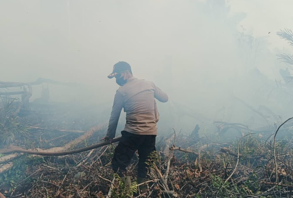 Perjuangan Tim Gabungan Padamkan Kebakaran Lahan Gambut di Toba