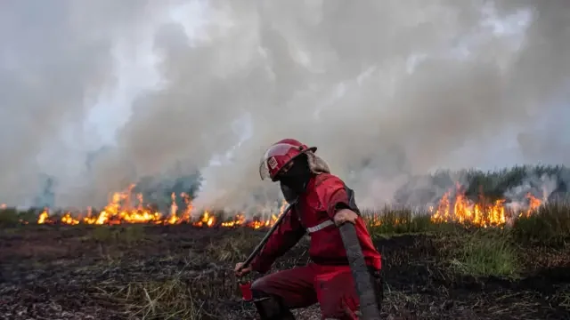 Asap Karhutla Kalimantan Terbawa ke Sarawak, Media Malaysia Soroti Dampaknya