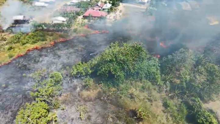 BNPB Catat Rentetan Kebakaran Hutan dan Lahan di Empat Wilayah Indonesia