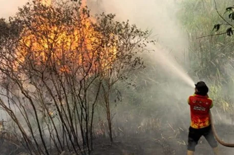 KLH Terbitkan Edaran Larangan Buka Lahan dengan Membakar untuk Cegah Karhutla