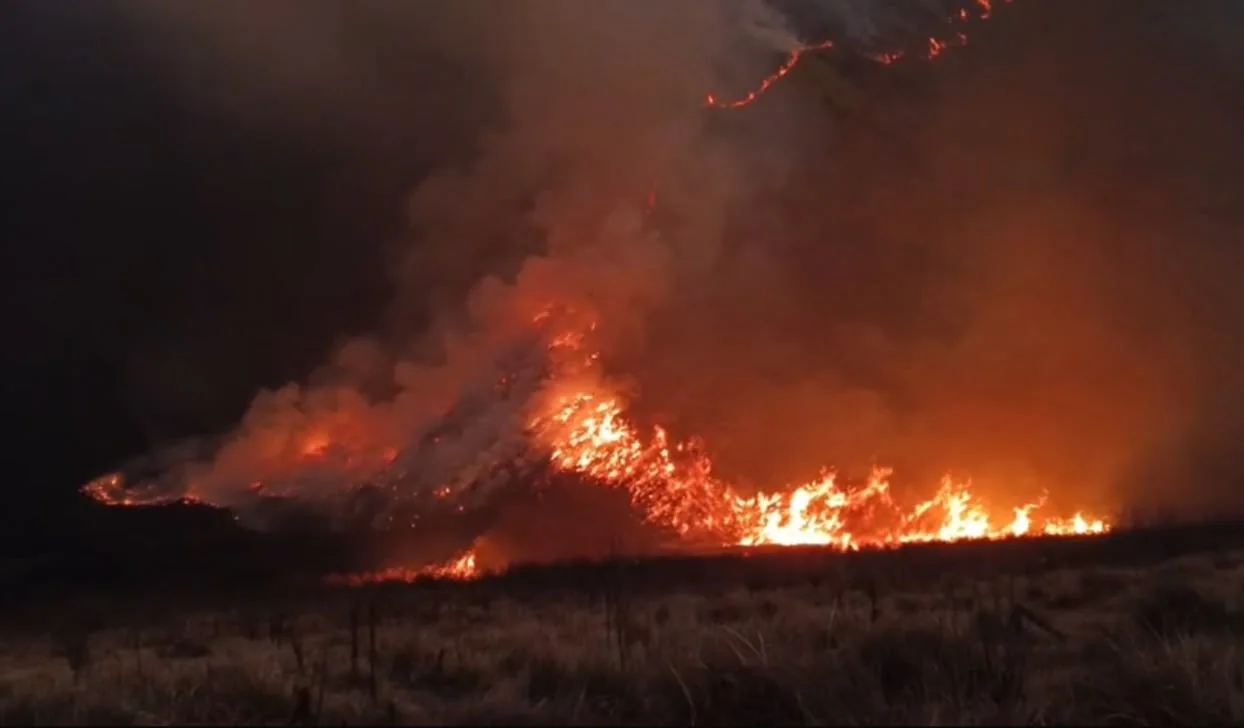Kebakaran di Bromo Meluas, 942 Hektare Lahan Hangus Terbakar