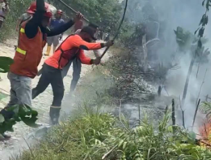 Titik Api Berada di Puncak, Kebakaran Lahan di Bukit Matok Melawi Ancam Vegetasi Perbukitan