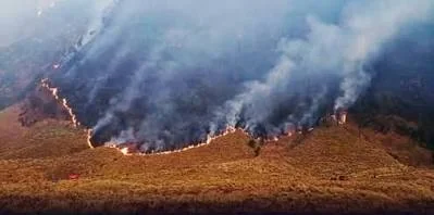 Kawasan Wisata Gunung Bromo Ditutup Total Akibat Kebakaran Hutan
