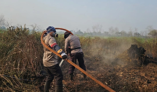 Cegah Karhutla Meluas, Lahan Gambut di Limbung Dibasahi