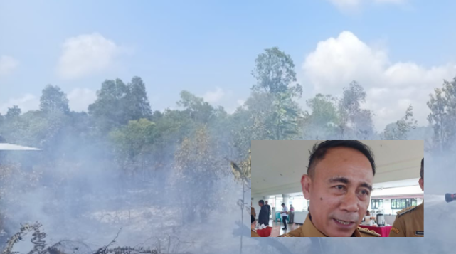 Bukan Peladang, Wagub Kalbar: Korporasi Penyebab Utama Karhutla