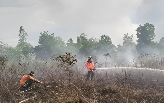Kemenhut Ungkap Peran TNI-Polri dalam Percepatan Penanganan Karhutla
