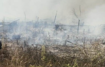Dua Titik Kebakaran Lahan Terdeteksi di Mukok Sanggau