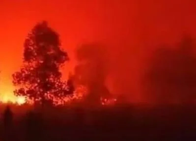 Taman Nasional Way Kambas Masih Terbakar, Gajah Liar Dipastikan Aman