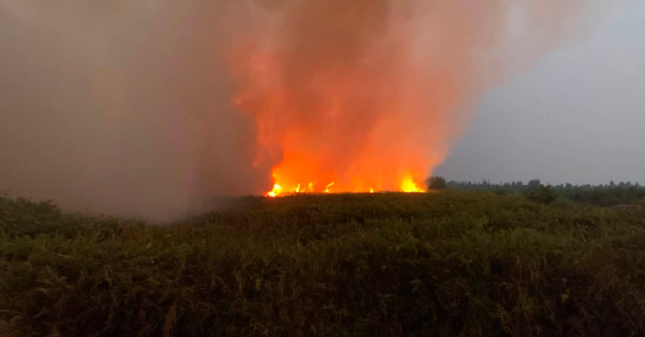 Ancam Jalur Poros, Karhutla Pelang Makin Resahkan Warga