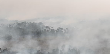 Marak Karhutla, Pencabutan Perda Perladangan Dinilai Salah Sasaran