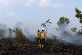 Sisir Lahan di Sungai Raya, Tim SAR Padamkan Bara Api Karhutla