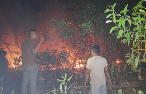 Kemenhut: 10 Persen Perusahaan Hutan Belum Tertib Laporkan Kesiapan Karhutla