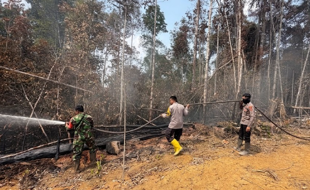 Usai Padamkan Karhutla Teraju, Polisi Usut Dugaan Tindak Pidana