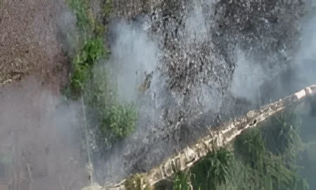Kemarau, Gubernur Papua Larang Warga Buka Lahan dengan Cara Membakar
