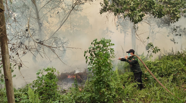 Kebakaran Lahan Hebat Terjadi Dekat Kantor Manggala Agni Daops Pontianak