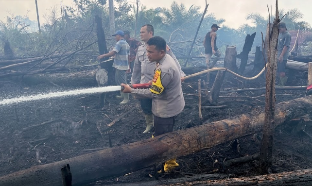 Sinergi Lintas Sektor Padamkan Kebakaran Lahan di Toba