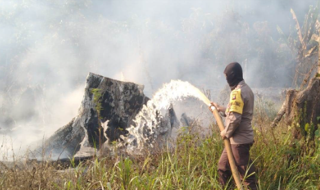 Kebakaran Lahan Meluas mendekati Kawasan Perkebunan Meliau