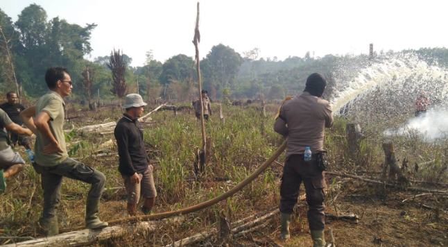 Sisa Api Kebakaran Lahan Masih Menyala di Nek Raong Meliau